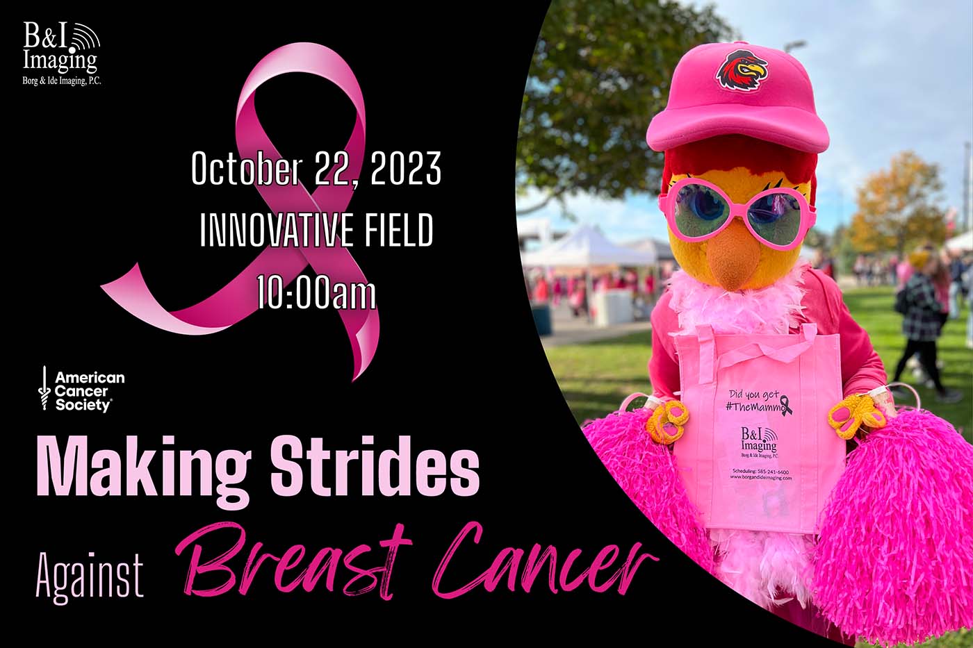 Rochester's Making Strides Against Breast Cancer, New York