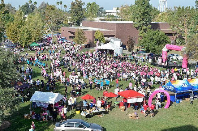 Race for the Cure