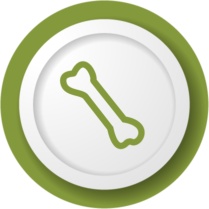 DEXA (Bone Density) Eastern Shore