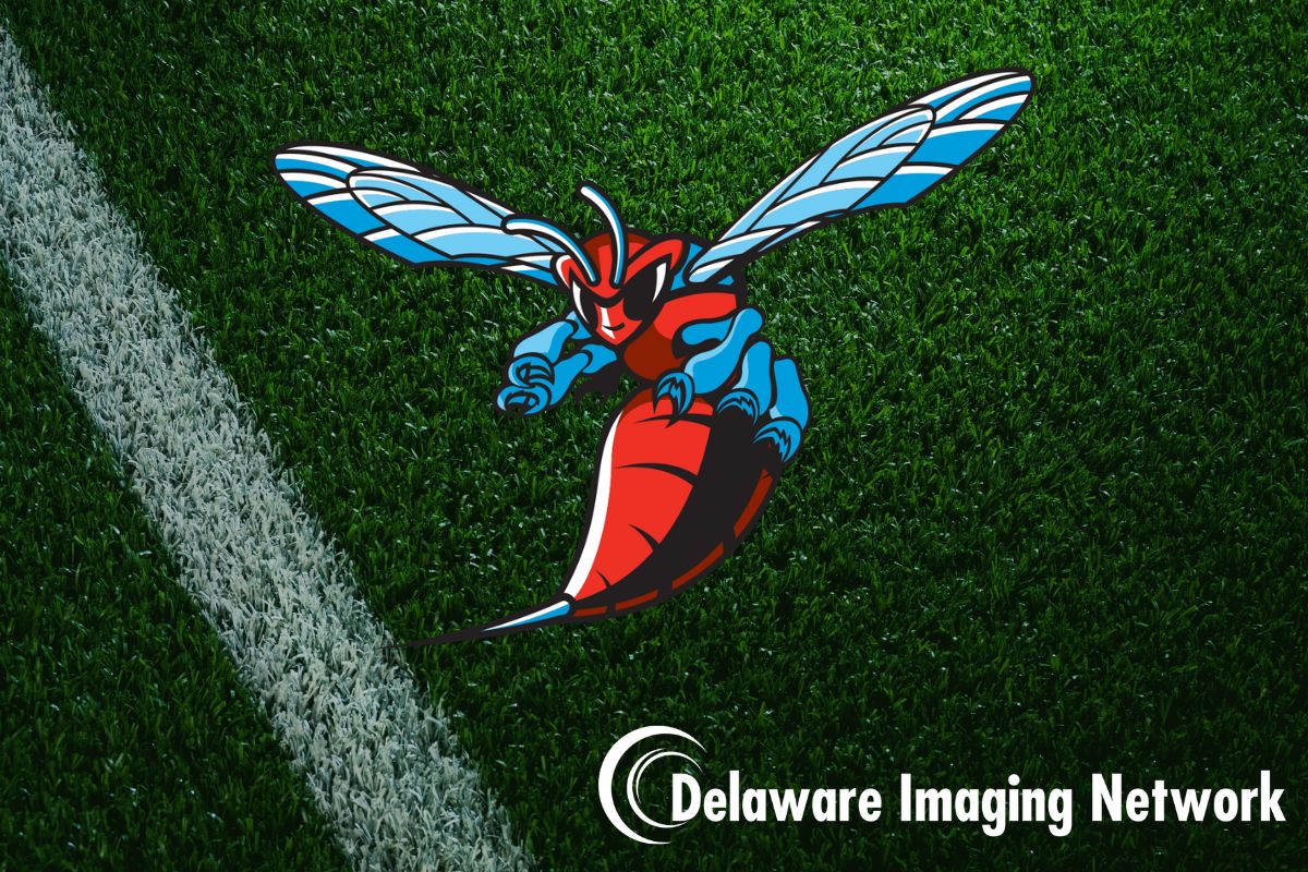 We are Now a Proud Sponsor of the DSU Hornets!