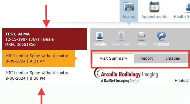 Visit Summary tab
