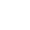 lung icon