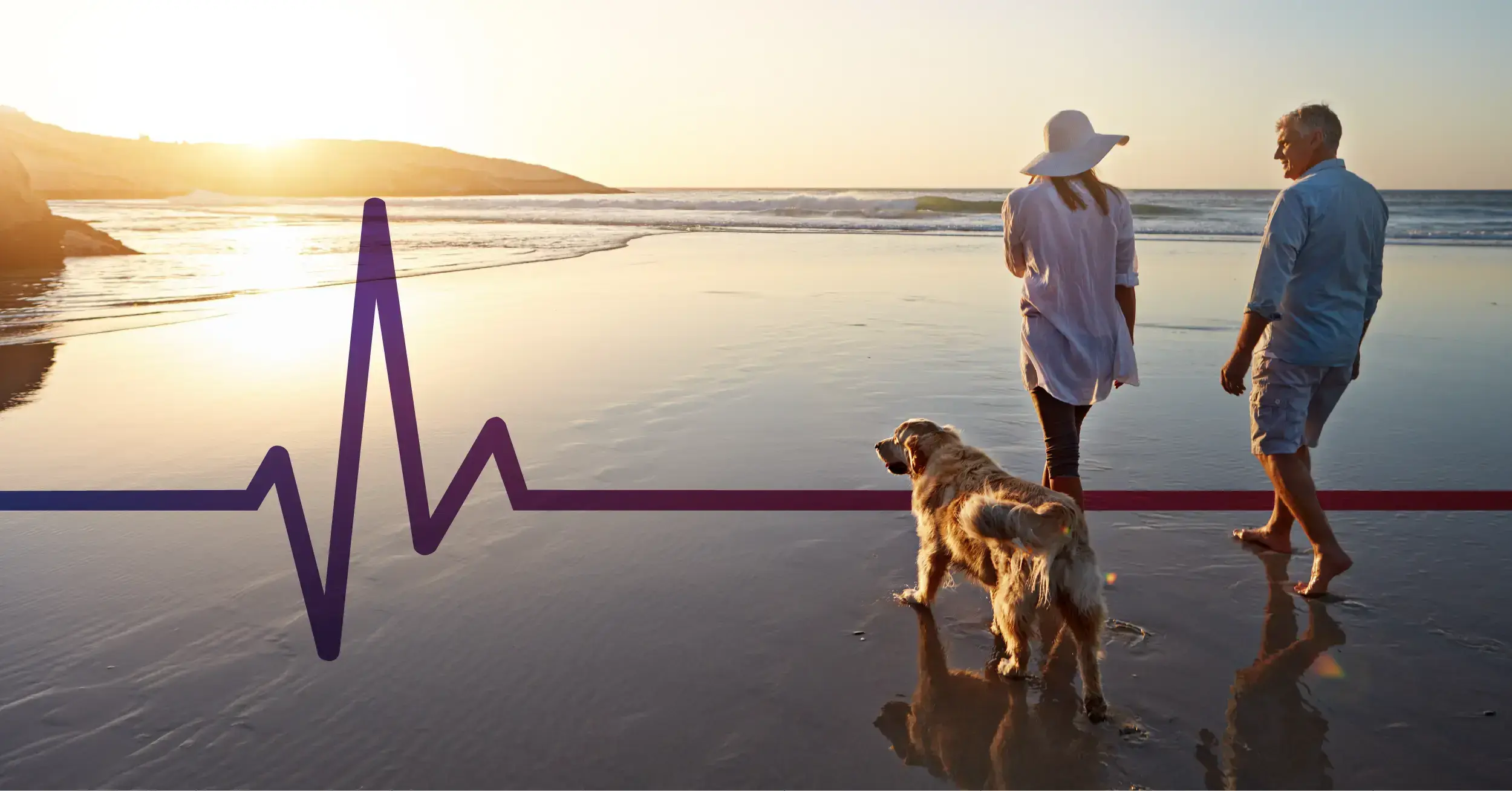 Heartwave, two people on beach with a dog