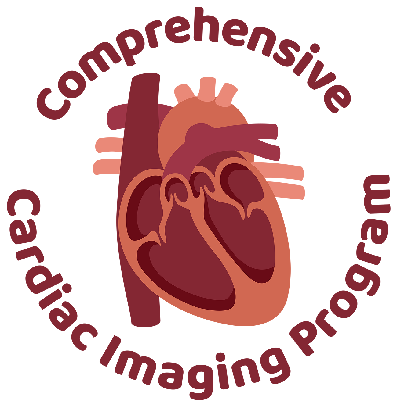 New Jersey's Comprehensive Cardiac Imaging Program