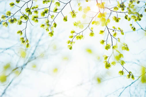 When Is Allergy Season?
